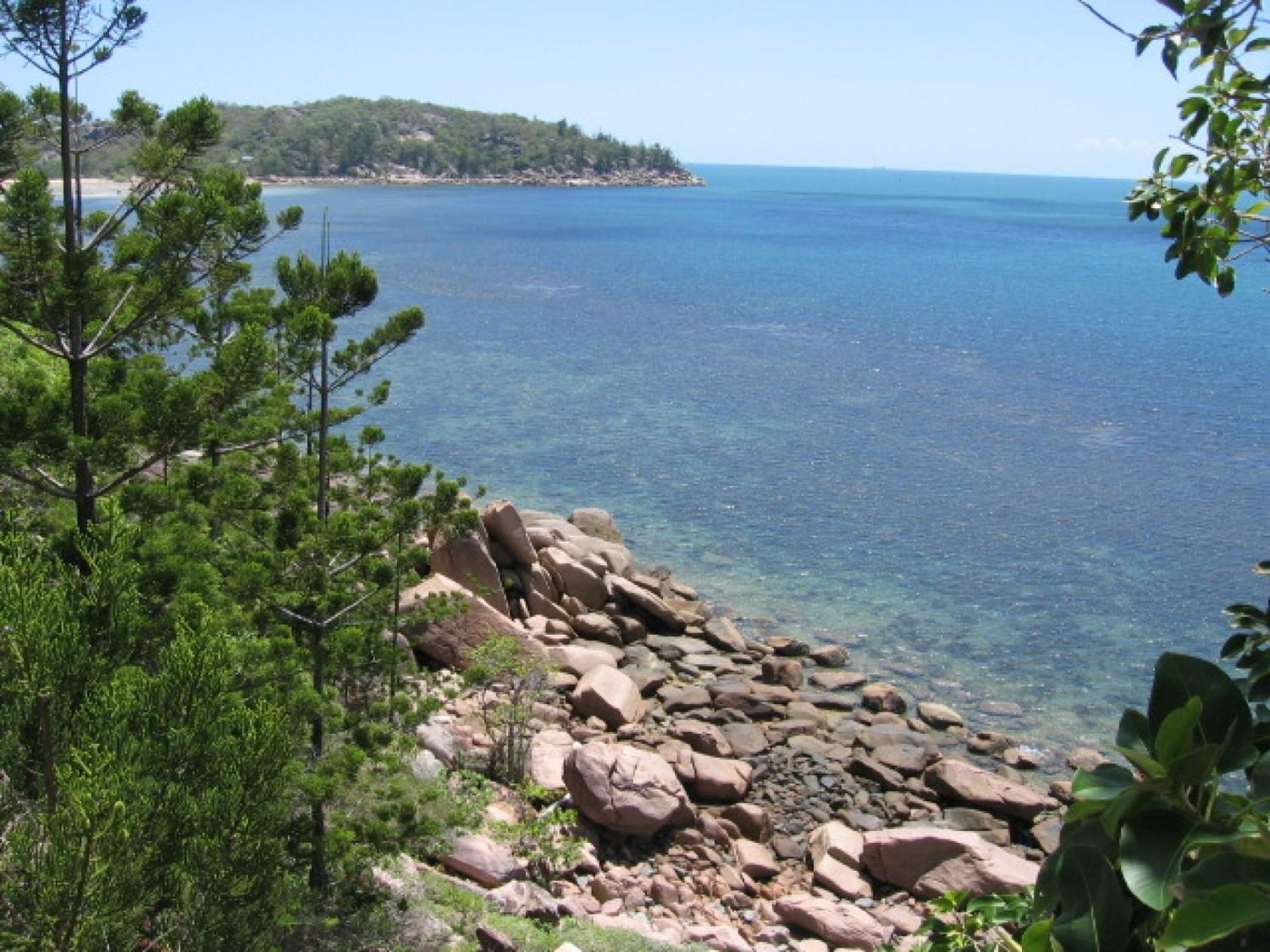 Affordable Island Escape! Queen Studio, Nelly Bay Eksteriør billede