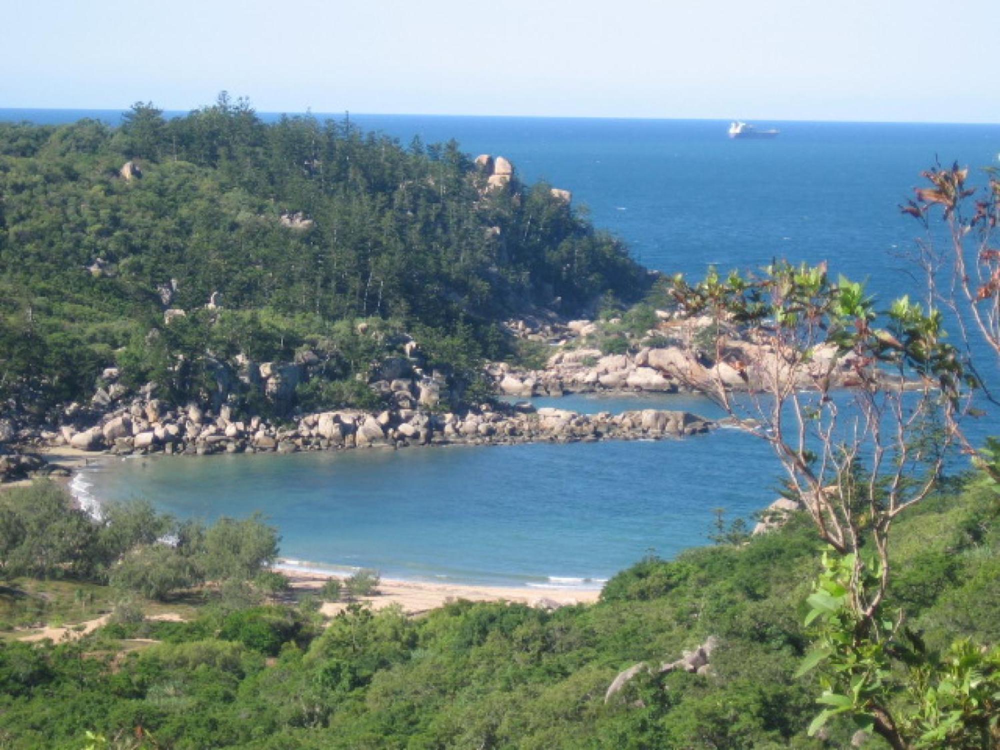 Affordable Island Escape! Queen Studio, Nelly Bay Eksteriør billede